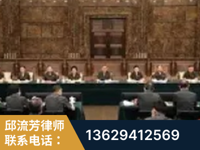 武冈-疑难刑事案件处理