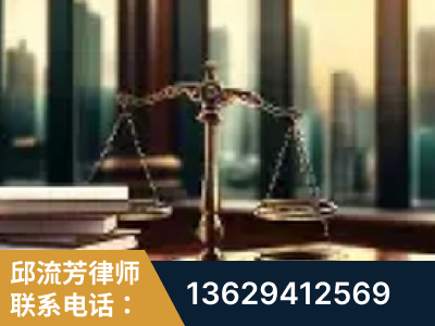 武冈-重大刑事案件处理