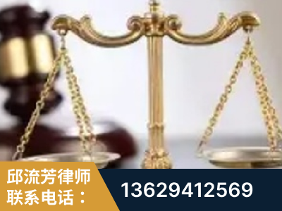武冈-委托诉讼代理人出庭